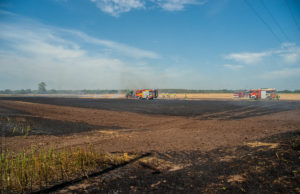 Feld gerät bei Mäharbeiten in Brand