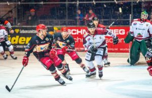 Hannover Scorpions testen zweimal gegen Hamburg