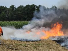 Feldbrand ist nur Übung